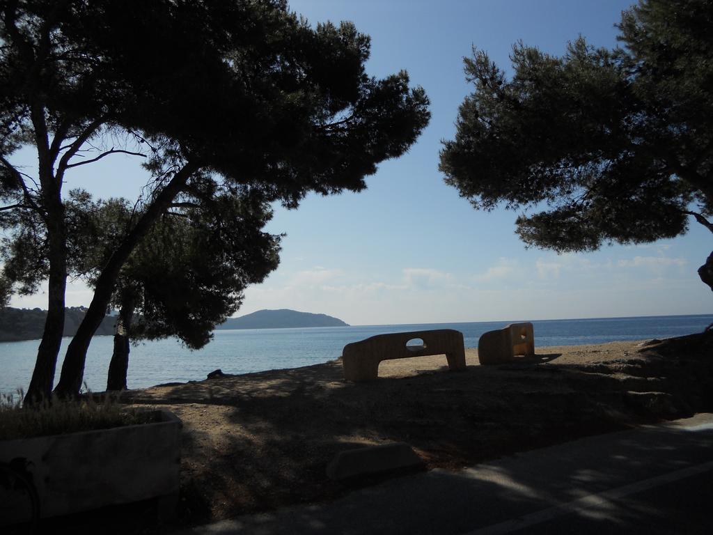 Studio Le Peneque Des Anges La Ciotat Szoba fotó